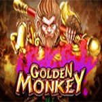 Golden Monkey